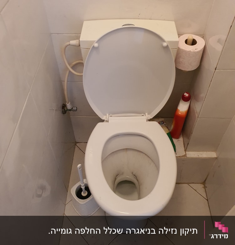 אסלה עם מברשת ניקוי ומיכל נוזל ניקוי